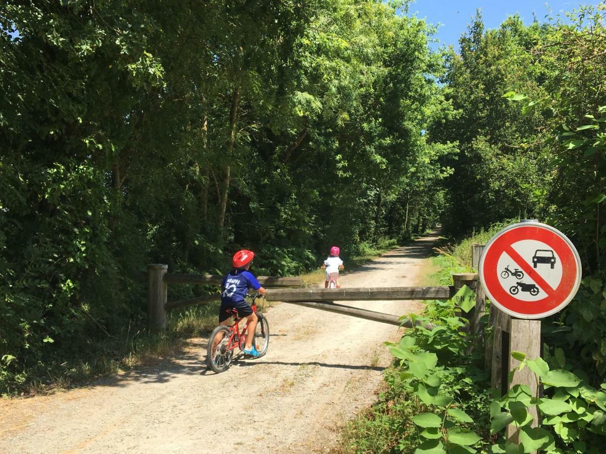 Gite Libellule Au Coeur De La Nature Moncoutant Eksteriør billede